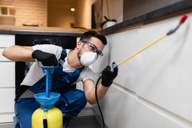 Pest Prevention Services in St Leon, IN