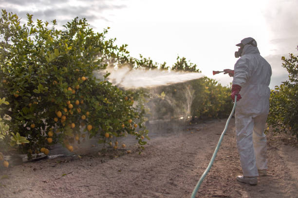 Best Best Pest Control Companies  in St Leon, IN